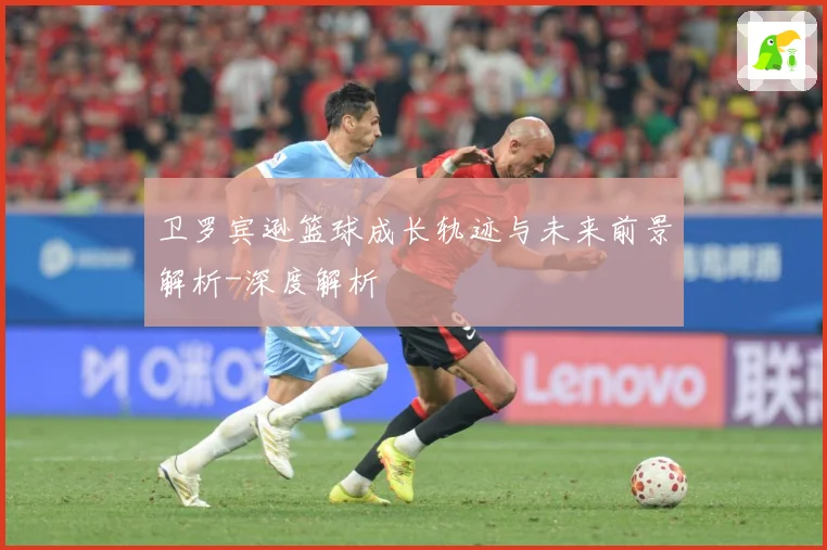 卫罗宾逊篮球成长轨迹与未来前景解析-深度解析
