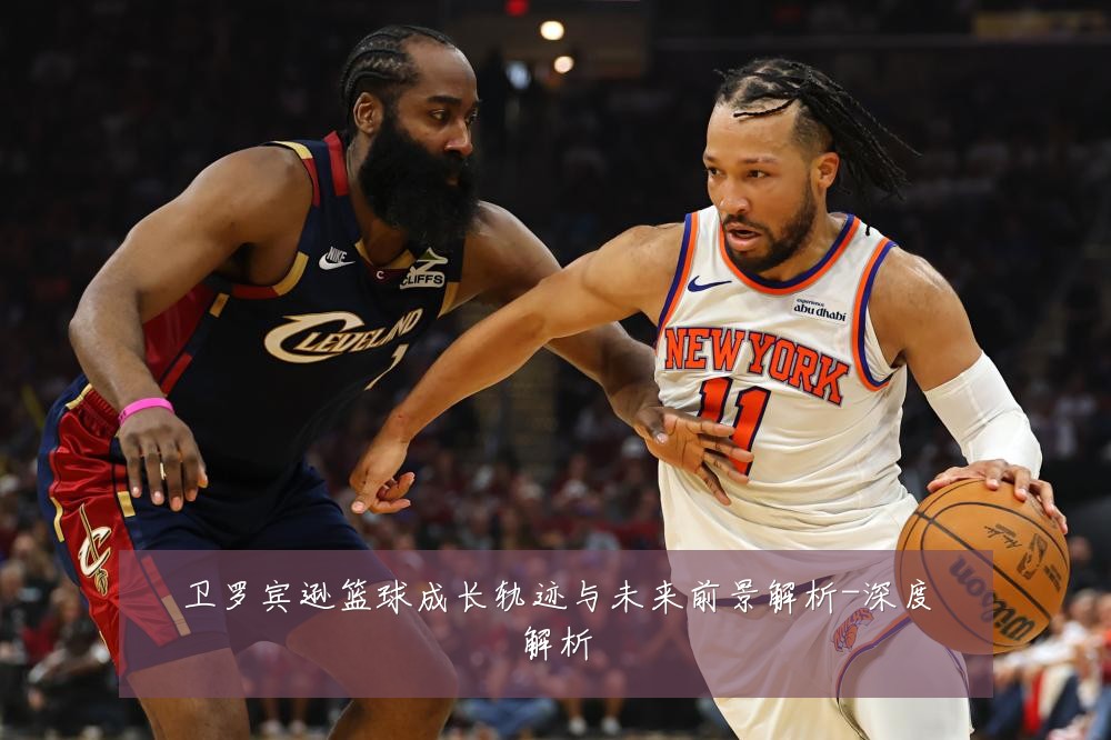 卫罗宾逊篮球成长轨迹与未来前景解析-深度解析
